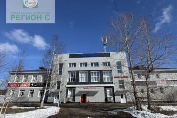 Отдельно стоящее здание, 1317,9 м²