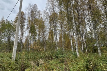 Ведение садоводства, 10 сот.