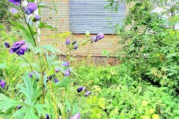 Дом, 20,2 м², 1 эт.