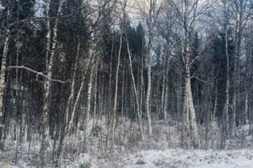 Ведение садоводства, 12 сот.