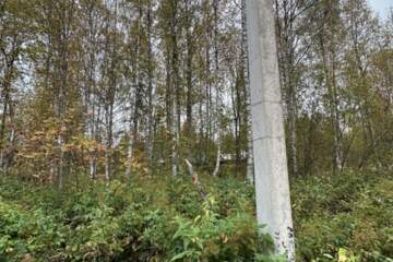 Ведение садоводства, 10 сот.