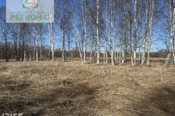 ИЖС, 1000 сот.